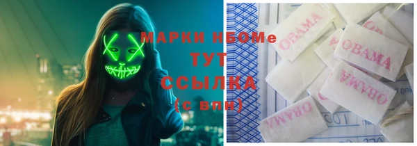 прущая мука Елабуга