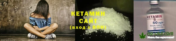 стаф Осинники