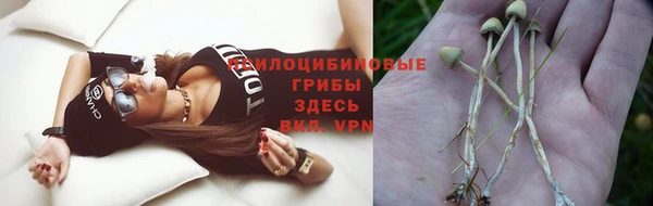 прущий лед Арсеньев