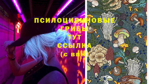 прущий лед Арсеньев