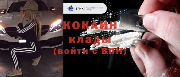 бошки Аркадак